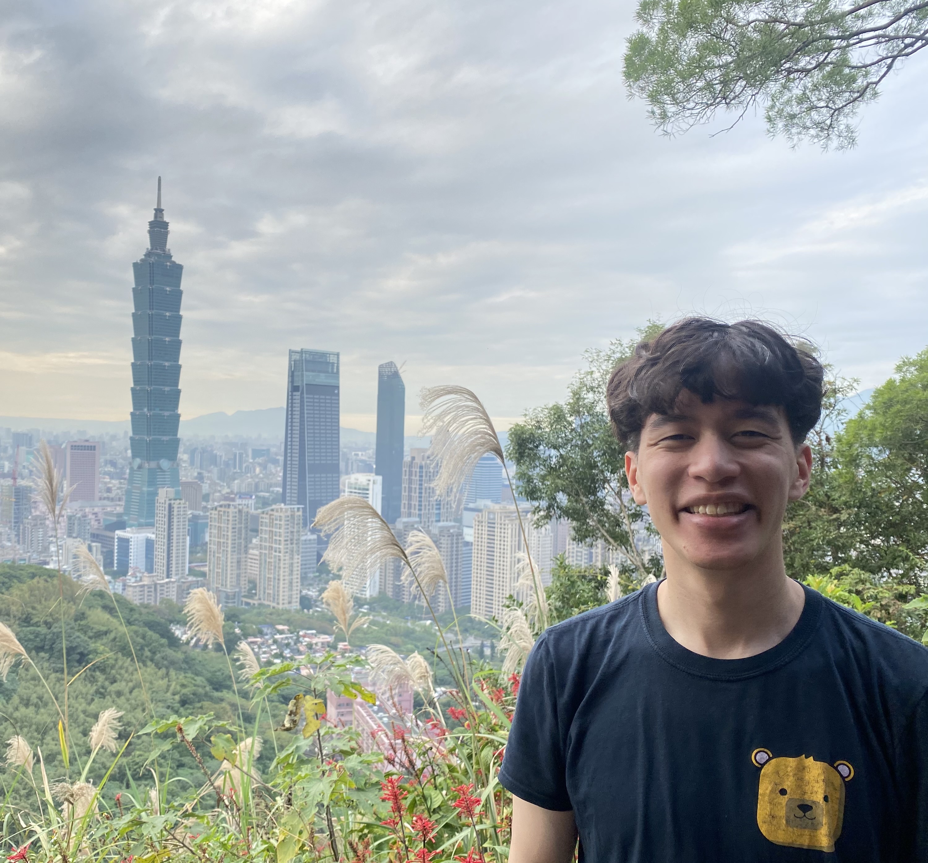 Taipei viewed from Elephant Mountain